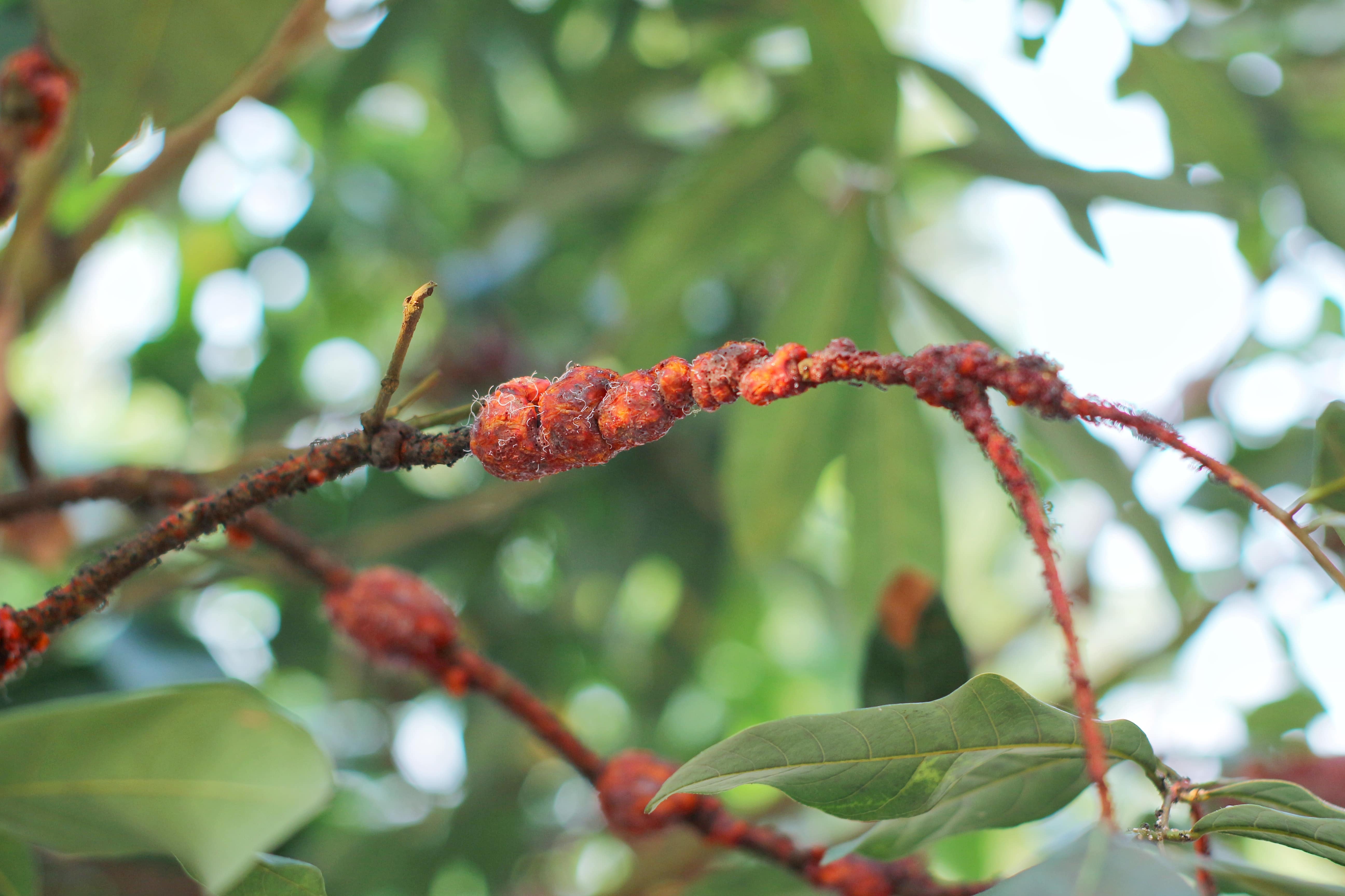 bg_sec_img_home_sctn1